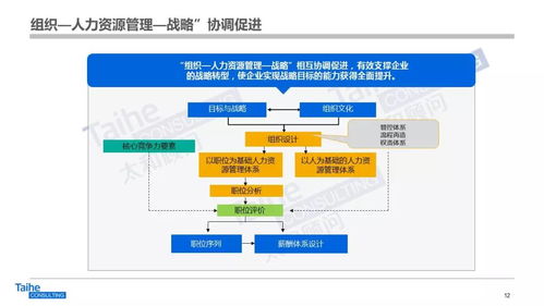 構建以網絡技術開發為驅動的人力資源管理體系，助力企業實現跨越式發展