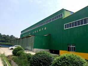 告別“一鍋燴” 渭南以“工業胃”分揀消化，探索生活垃圾資源化新路徑